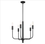 Cordelia Lighting 5-LIGHT Matte Black Chandelier. Fixed Price $59.99.