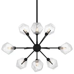 Quoizel PCSVD5034 Salvador 9 Light 30"W Sputnik Chandelier - Black. Fixed Price $399.99.