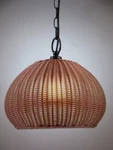 Globe Salvador 1-LIGHT Bronze Outdoor Indoor Plug-in Pendant With Shade. Fixed Price $66.45.