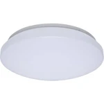 Nuvo Lighting 62/1851 Colorquick Led 11 Inch White Flush Mount Ceiling. Fixed Price $53.99.