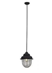Trans Globe Lighting Tenaya 1-LIGHT Dark Bronze Pendant PND-986. Fixed Price $49.00.