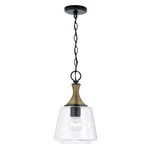 Capital Lighting Amara Pendant, Black/brass/clear Seeded - 345611KB. Fixed Price $190.40.
