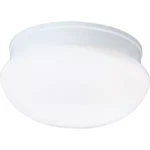 Progress Lighting 1-LIGHT White Flush Mount With Glass P3408-30. Fixed Price $15.99.