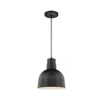 Used Millennium Lighting RDBC10-SB Series Cord Hung Deep Bowl. Fixed Price $101.92.