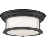 Z-lite 2011F13-MB Sonna Light 13.5 Inch Matte Black Flush Mount Ceiling. Fixed Price $164.00.