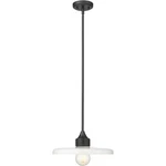 Z-lite 820P14-MB Paloma Light Inch Matte Black Pendant Ceiling. Fixed Price $226.00.