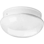 Progress Lighting P3412 Fitter Series 11-3/4" Two-light Flush White. Fixed Price $33.42.