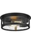 2-LIGHT Flush Mount Fixture Vintage Industrial Farmhouse. Fixed Price $34.99.
