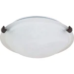 Nuvo Light 12" Flush Mount Tri-clip W/ Alabaster Glass 60-272. Fixed Price $59.99.