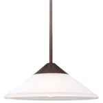 Sea Gull Lighting 6511201BLE Ashburne Full Sized Pendant Burnt Sienna. Fixed Price $69.00.