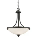 Z-lite 435P-BRZ Bordeaux Light 17.13 Inch Bronze Pendant Ceiling. Fixed Price $228.00.