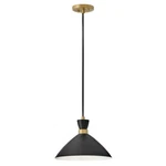 Lark Simon 1 Light Pendant, Black/heritage Brass Accents 83257BK-HB. Fixed Price $187.00.