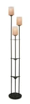 Lite Source LS-80700D/BRZ Bess Floor Lamp Dark Bronze. Fixed Price $267.90.