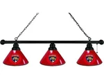 Holland - Florida Panthers 3 Shade Billiard Light. Fixed Price $230.00.
