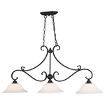 Vaxcel Monrovia 3 Light Linear Chandelier, Bronze/etched White - H0259. Fixed Price $379.99.