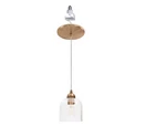 Worth Home Instant Pendant 1-LIGHT Satin Brass Recessed Conversion Kit Clear .... Fixed Price $37.43.