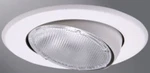 5070P Halo 75W Eyeball Trim For H5. Fixed Price $22.63.