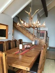 Elk Real Antler Single Tier Chandelier, 12 Light Sockets, Lamps By Cdn. Fixed Price $4298.00.