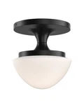 Hinkley Lighting 47811 Knox 8"W Semi-flush Bowl Ceiling Fixture Black. Fixed Price $179.00.