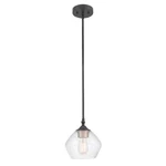 Globe Electric Harrow 1-LIGHT Matte Black Pendant With Clear Glass Shade 60312. Fixed Price $23.51.