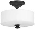 Minka Lavery 4172-66A Ceiling Fixtures Indoor Lighting. Fixed Price $104.98.