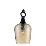 Quoizel CKKD1509 Bronze Kendrick 1-LIGHT Urn Pendant With Glass Shade. Fixed Price $207.99.