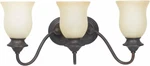 Triarch 25412 Lanterna Vanity Light, English Bronze Nib. Fixed Price $159.99.