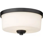 Z-lite Light Flush Mount 220F2-MB, BLACK,12" Round. Fixed Price $174.53.