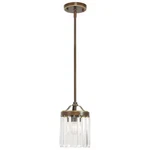 Livex Lighting 50530-64 Ashton 1 Hand Painted Palacial Bronze Mini Pendant. Fixed Price $435.90.