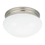 Seagull Webster Light 10 Inch Flush Mount, Brushed Nickel, 5328-15. Fixed Price $35.97.