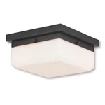 Livex Lighting 65536-92 Allure English Bronze Ada Wall Sconce/ceiling. Fixed Price $159.90.