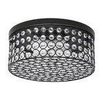FM1003-RBZ Elipse Crystal 12 Inch Modern Metal Light Round Ceiling Flush Mo.... Fixed Price $113.97.