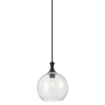 Innovations Lighting 415-1S-15-12 Astor Pendant 12"W Black. Fixed Price $255.20.