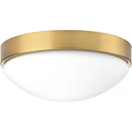 Progress Lighting P350105-109-30 Ceiling Fixtures Indoor. Fixed Price $100.00.