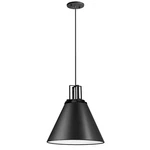 Dainolite Sonus Light Incandescent Pendant, Matte Black SNS-141P-MB. Fixed Price $222.00.