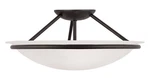 Livex Lighting 4824-04 Newburgh Semi-flush Mount Black. Fixed Price $201.96.