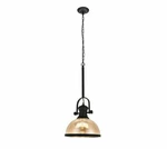 Elegant Lighting Gracia LDPD3006 1-LIGHT 12"W Pendant Rusty/coffee Finish. Fixed Price $62.97.