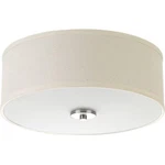 Progress Lighting Inspire 13 In. 2-LIGHT Brushed Nickel Kitchen Ceiling. Fixed Price $29.99.