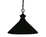 Z-lite 100701-MMB Light Full Sized Pendant Black. Fixed Price $142.00.