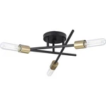 Progress Lighting P350225 Astra 18"W Semi-flush Ceiling Bronze. Fixed Price $127.99.