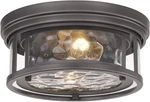 Clarion 2-LIGHT Flush Mount Fixture, 120W, Bronze Finish, Elegant Design. Fixed Price $265.99.