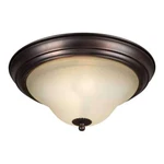 Forte Lighting Flush Mount Antique Bronze 2530-02-32. Fixed Price $29.99.