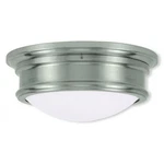 Livex Lighting Astor Ceiling Mount Brushed Nickel. Fixed Price $147.99.