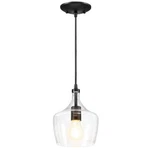 Pia Ricco 6.89 In. 1-LIGHT Black Mini Pendant With Clear Glass. Fixed Price $31.30.