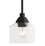 Livex Lighting 49761 Aragon 5"W Mini Pendant - Black. Fixed Price $151.96.