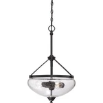 Nuvo Laurel 3 Light Pendant W/ Clear Seeded Glass, Sudbury Bronze 60-5547. Fixed Price $179.98.