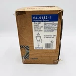 Thomas Lightning Polished Brass SL-9183-1 Coach Lantern With Beveled Clear Glass. Fixed Price $59.84.