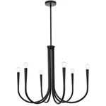 Chandelier Ceiling Light Fixture Farmhouse Black Foyer Living Dining Room 30". Fixed Price $428.66.