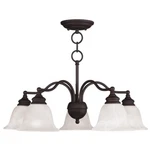 Livex Lighting Essex Convertible Chandelier/ceiling Mount Bronze 1346-07. Fixed Price $289.96.