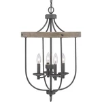 Progress Lighting P500157-143 Gulliver 17 Inch Foyer Graphite. Fixed Price $499.00.